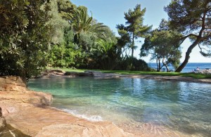 in-ground-swimming-pools-natural-77988-4502491